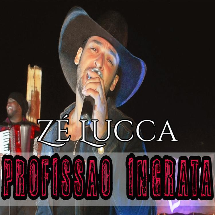 Zé Lucca's avatar image