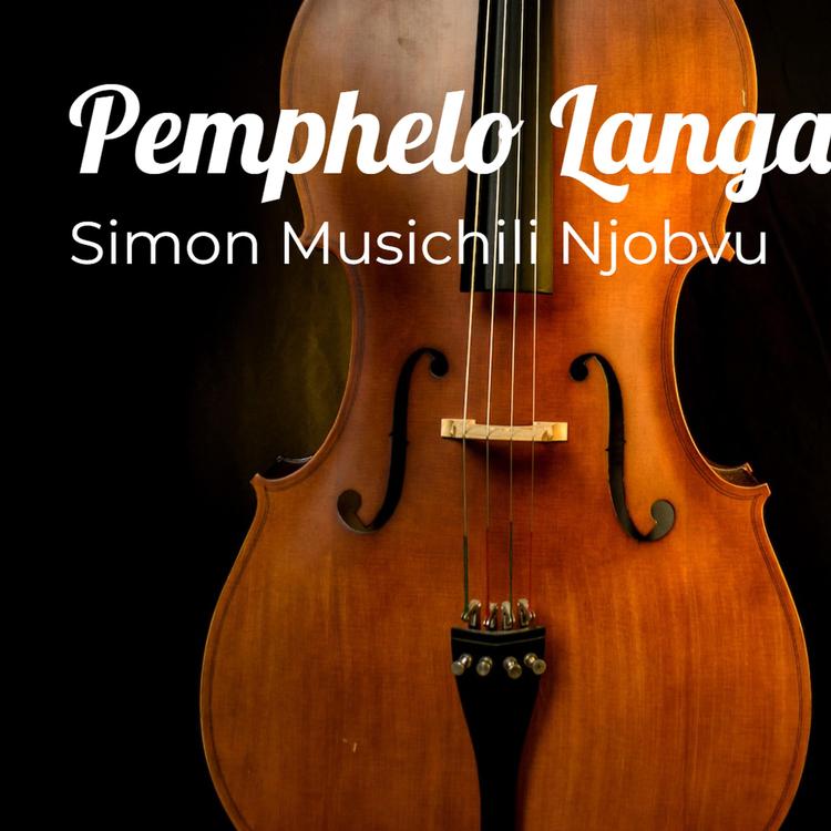 Simon Musichili Njobvu's avatar image