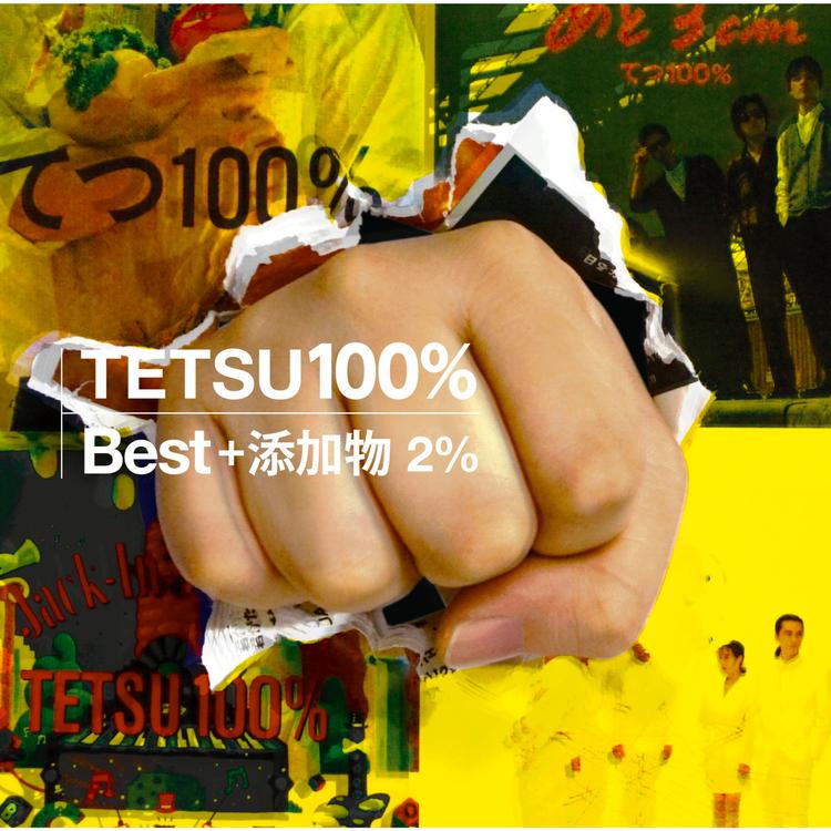 てつ100%'s avatar image