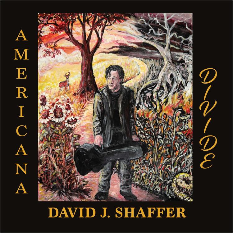 David J Shaffer's avatar image