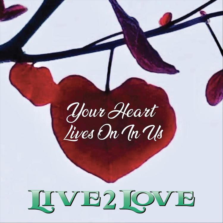 Live2love's avatar image