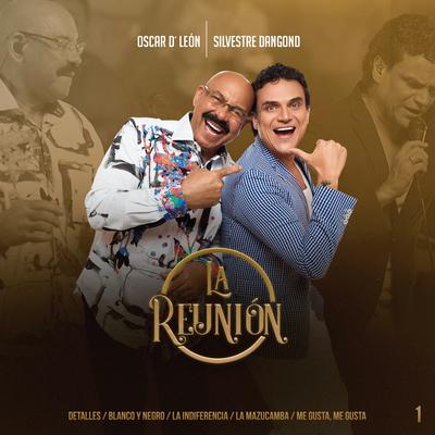 La Reunión 1 : Detalles / Blanco y Negro / La Indiferencia / La Mazucamba / Me Gusta, Me Gusta By Silvestre Dangond, Oscar D'León, La Reunion's cover