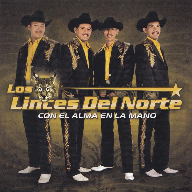 Los Linces Del Norte's avatar image