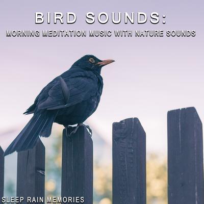 Birdwatcher's Stream By Sleep Rain Memories's cover