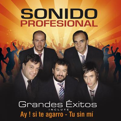Hechicera By Sonido Profesional's cover