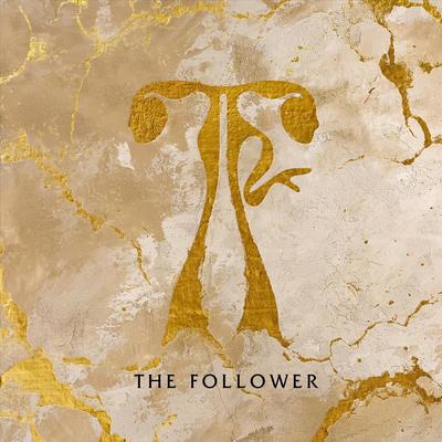 Waterfall By The Follower's cover
