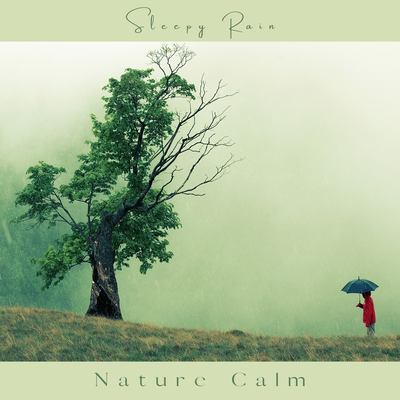 Light Outdoors Rain With Thunder By Nature Calm's cover