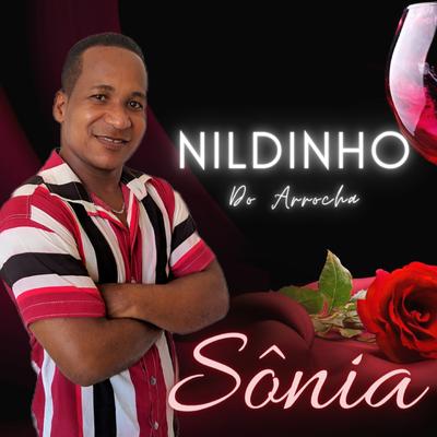 Nildinho do Arrocha's cover