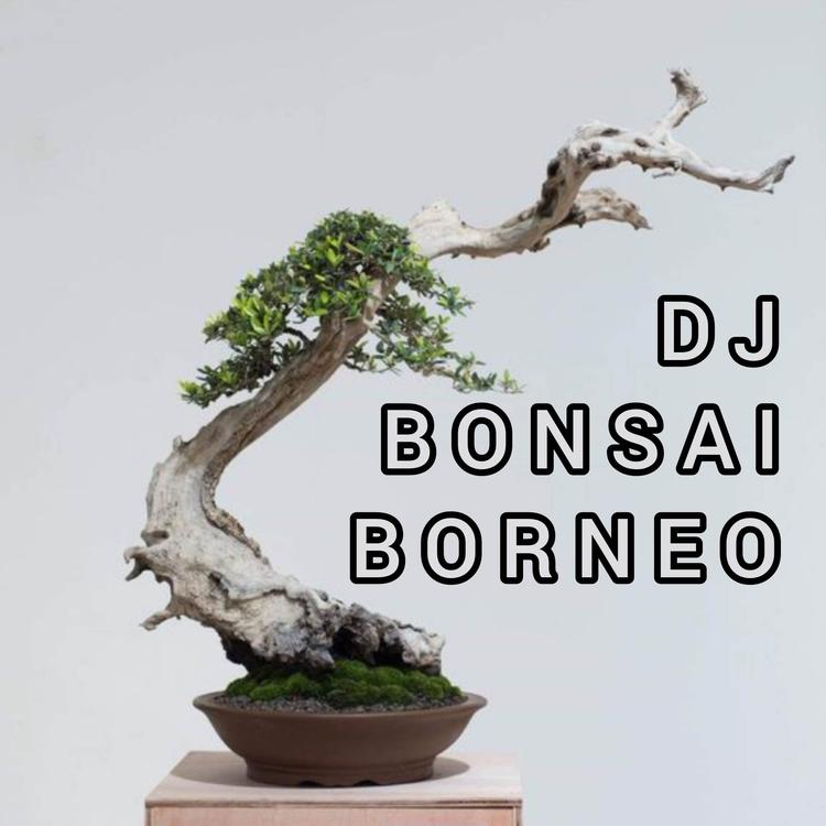 DJ BONSAI BORNEO's avatar image