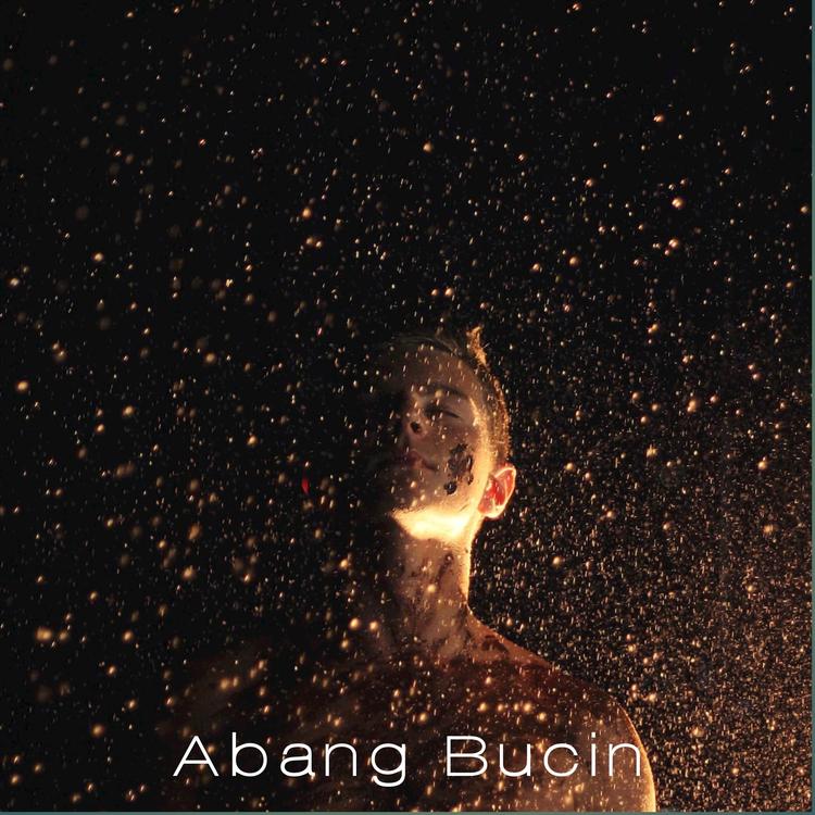 Abang Bucin's avatar image