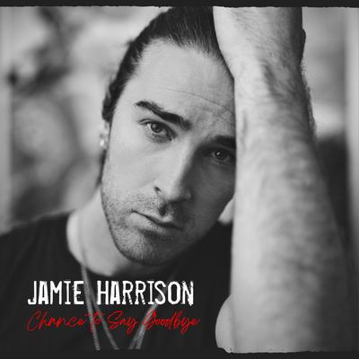 Chance to Say Goodbye By Jamie Harrison's cover