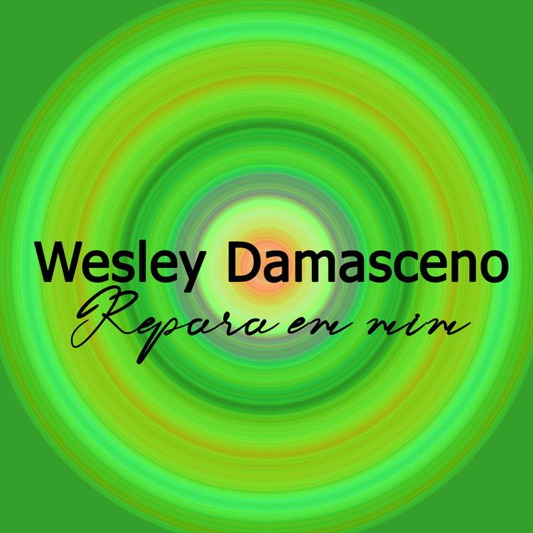 Wesley Damasceno's avatar image