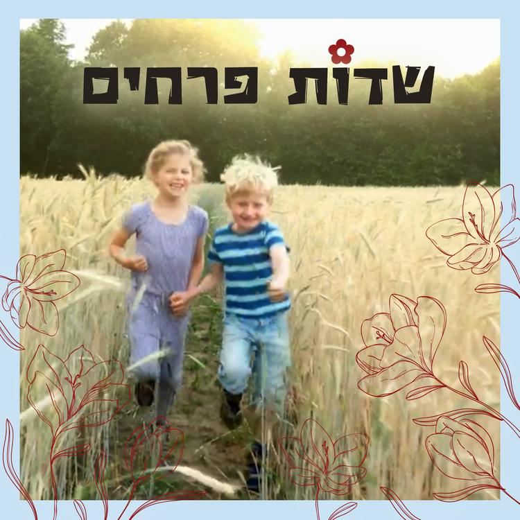 Shahar Mintz's avatar image