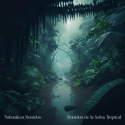 Sonidos de la Selva Tropical 1 By Naturaleza Sonidos's cover