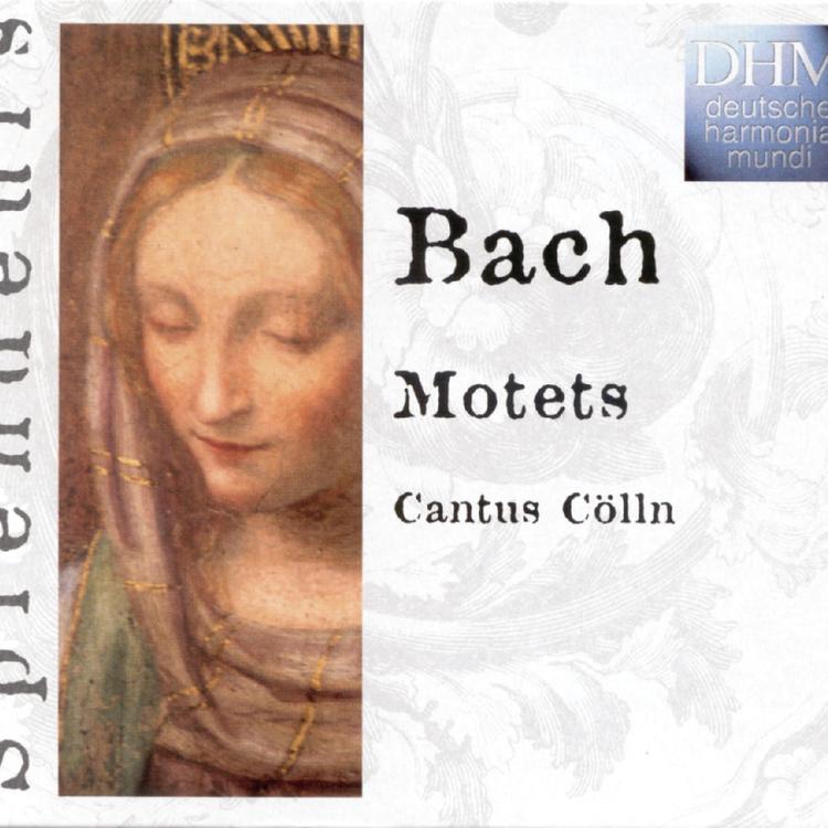 Cantus Cölln's avatar image