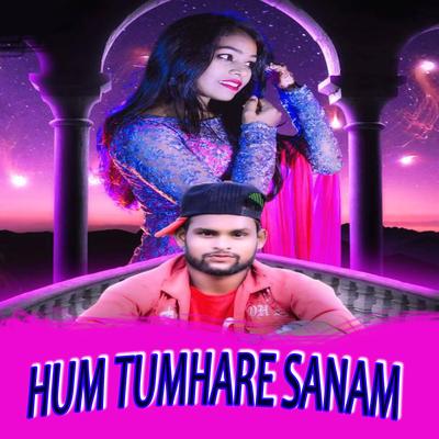 Hum Tumhare Sanam's cover