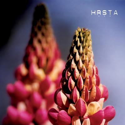 Saturn Of Chagrin By Hrsta's cover