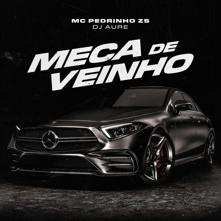 MC PEDRINHO ZS's avatar image