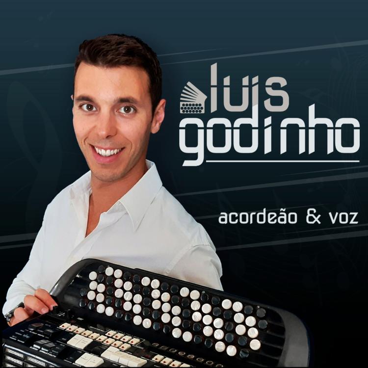 Luis Godinho's avatar image