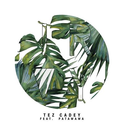 Ivory (feat. Patawawa) By Tez Cadey, Patawawa's cover