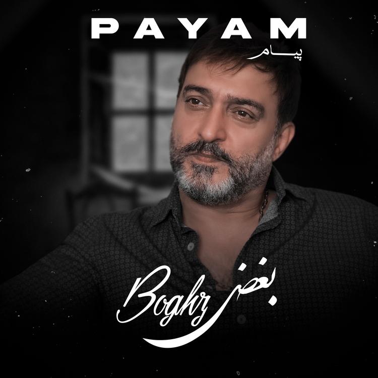 payam ahmadi's avatar image