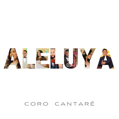 Aleluya a Dios's cover