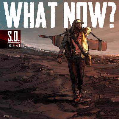 What Now? By S.O.'s cover