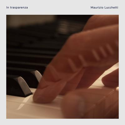 In trasparenza By Maurizio Lucchetti's cover