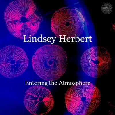 Lindsey Herbert's cover