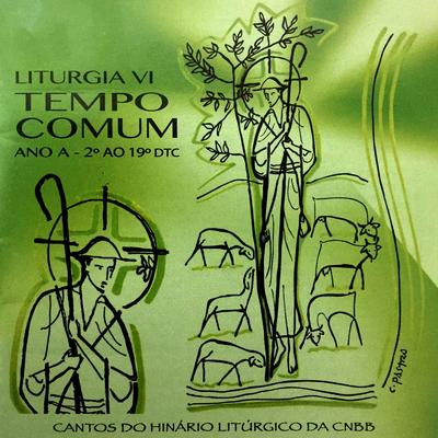 Liturgia VI's cover