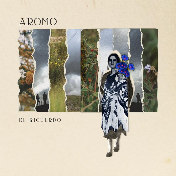 Aromo's avatar image