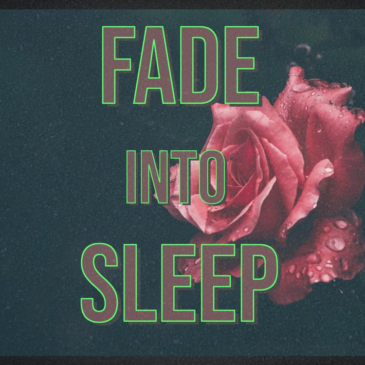 Fade Into Sleep's avatar image