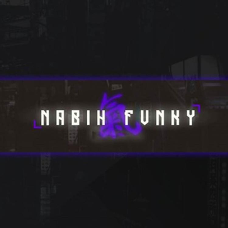 Nabih Fvnky's avatar image