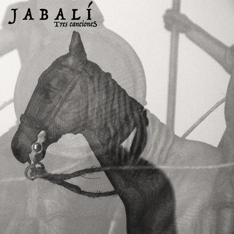 Jabali's avatar image