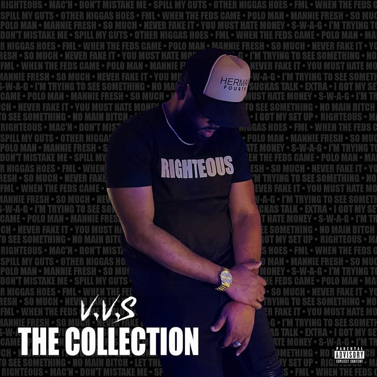 V.V.S.'s avatar image