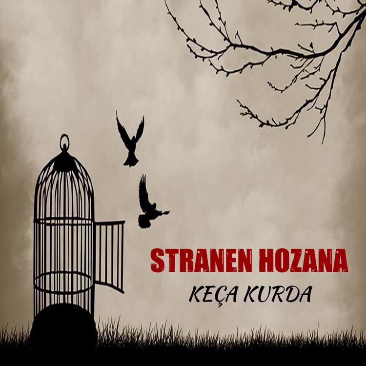 Stranen Hozana's avatar image