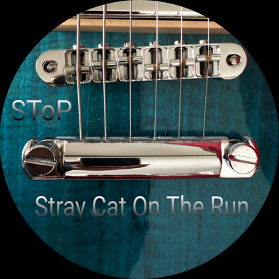 Stray Cat On The Run's cover