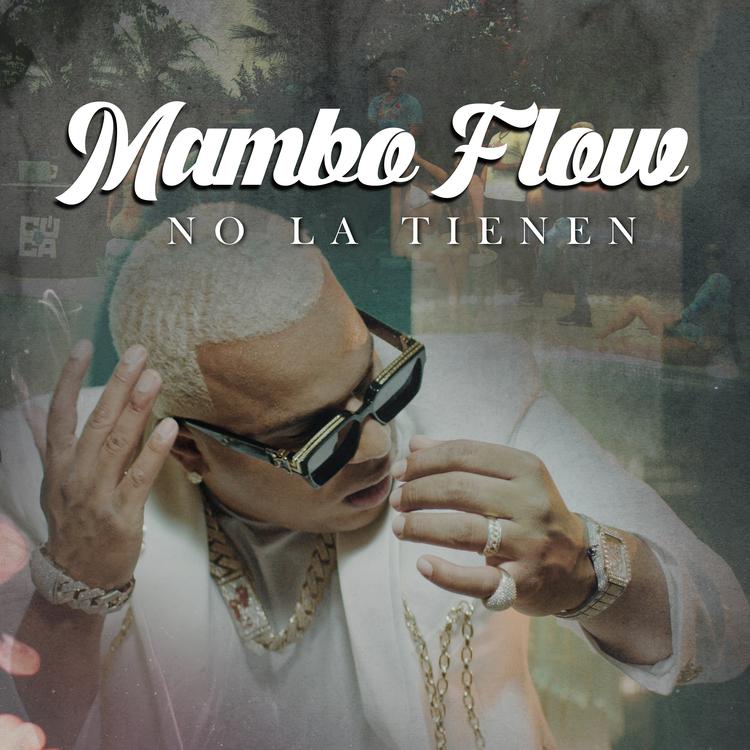 Mambo Flow's avatar image