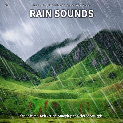 Rain Sounds, Pt. 27's cover