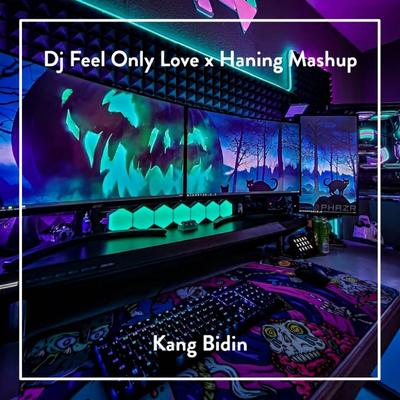 DJ Feel Only Love X Haning Mashup By Kang Bidin's cover