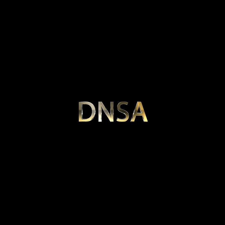 Dnsa's avatar image