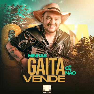 Minhas Gaita Cê Não Vende By Santo Fole's cover