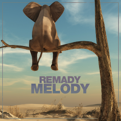 Melody By Remady's cover