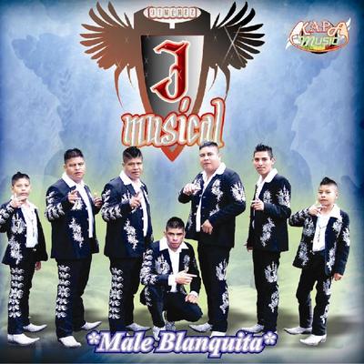 Malesita By J Musical's cover