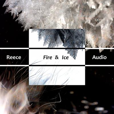 Reece Audio's cover