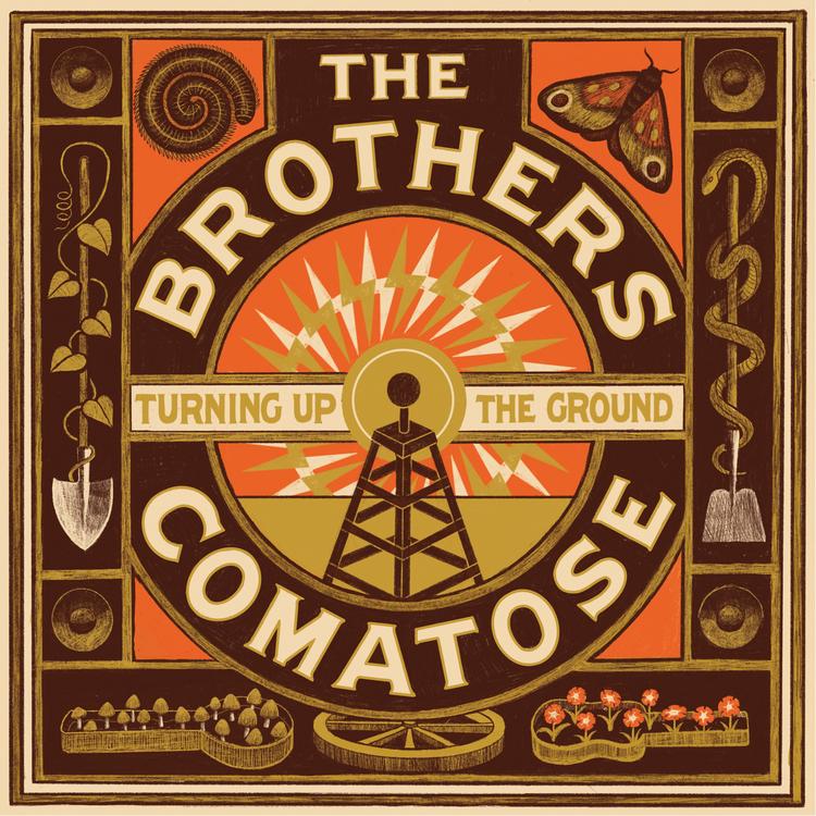 The Brothers Comatose's avatar image