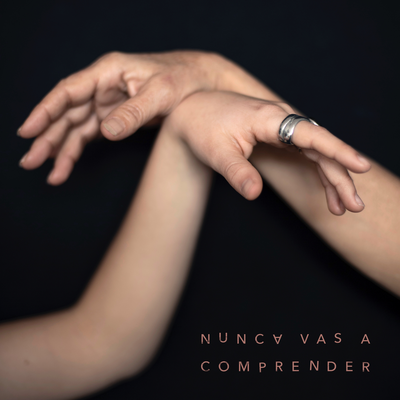 Nunca vas a comprender By Rita Payés, Elisabeth Roma's cover