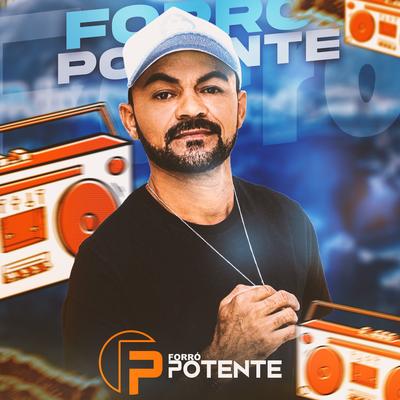 Piseiro em Alta By FORRO POTENTE's cover