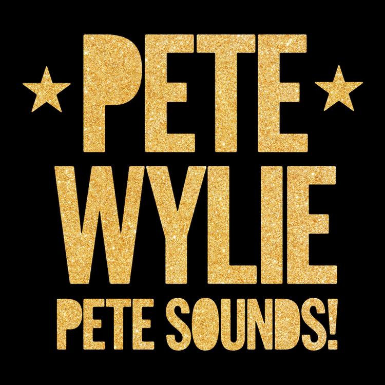 Pete Wylie & The Mighty WAH!'s avatar image