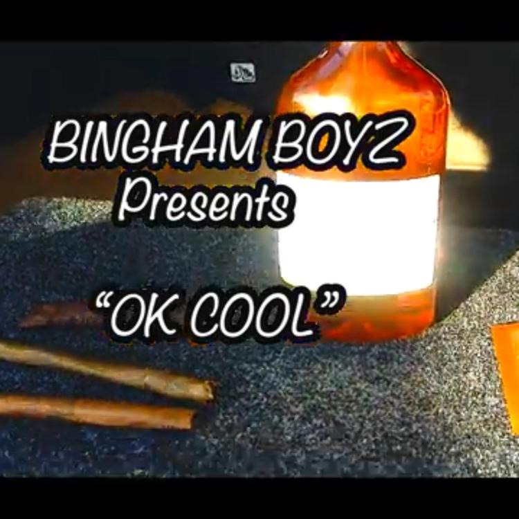 Bingham Boyz's avatar image